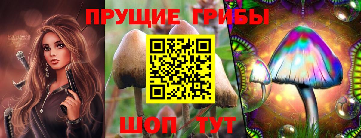 Галлюциногенные грибы Magic Shrooms Алапаевск